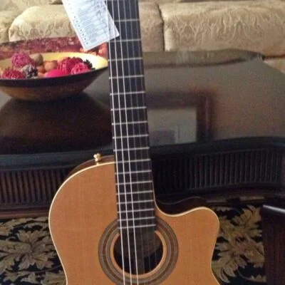 Pavlo Guitar Signature Series