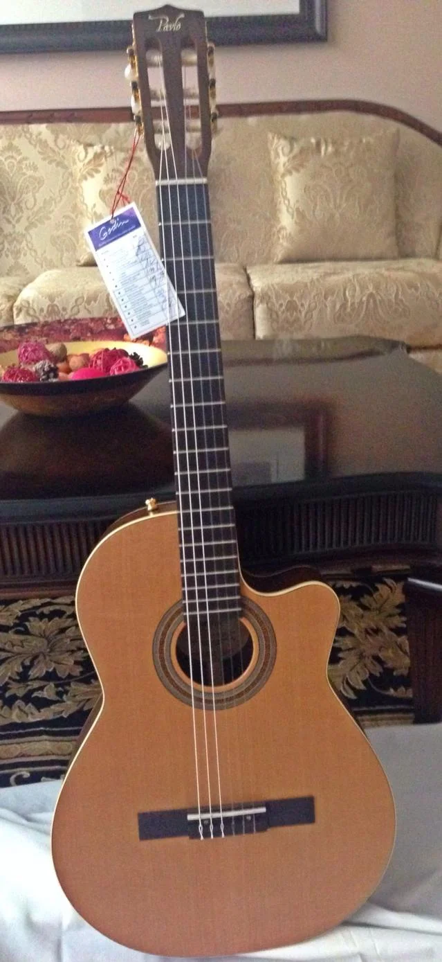 Pavlo Guitar Signature Series