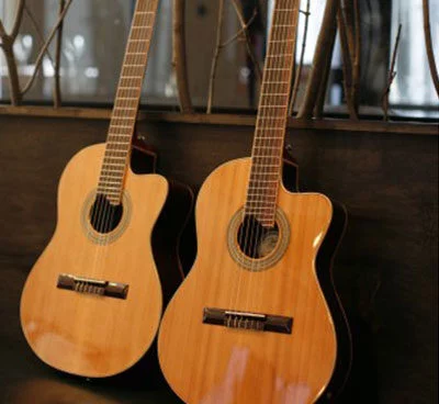 Pavlo Guitars